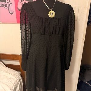 Elegant Black Sheer Dress